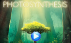 Photosynthesis